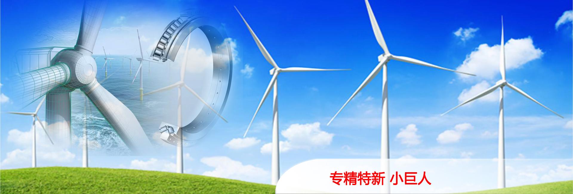 山東泰安東岳泰山衡器有限公司